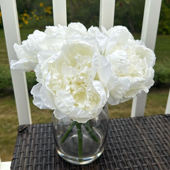 Meet your Posher, Renny - Picture 1 of 1